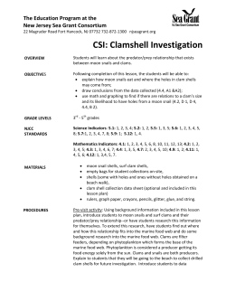 CSI: Clamshell Investigation - New Jersey Sea Grant Consortium