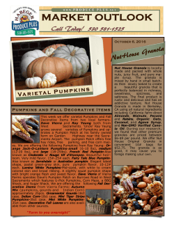 Pumpkins and Fall Decorative Items