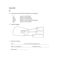 Homework Booklet C