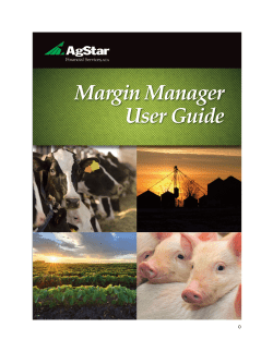Margin Manager user guide