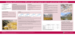 Assessing runoff processes at different spatial and temporal scales