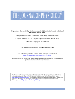 Dependence of cross-bridge kinetics on myosin light