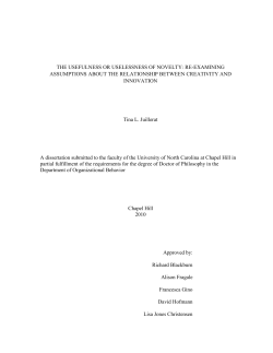 THE USEFULNESS OR USELESSNESS OF NOVELTY: RE