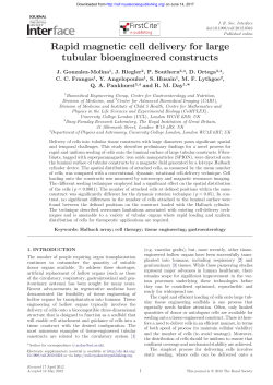 Rapid magnetic cell delivery for large tubular bioengineered