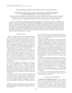 plant-borne human contamination by fascioliasis