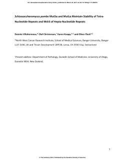 Schizosaccharomyces pombe MutS&alpha; and MutL&alpha; Maintain Stability of