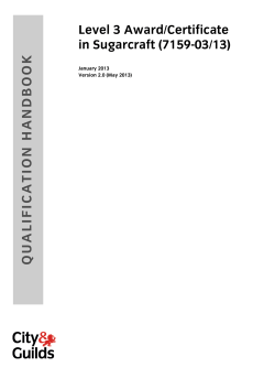 Level 3 Award/Certificate in Sugarcraft (7159-03/13)