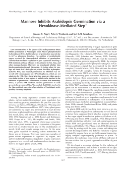 Mannose Inhibits Arabidopsis Germination via a Hexokinase