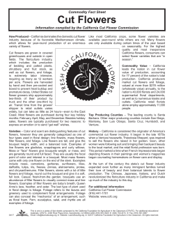 Cut Flowers - California Foundation for Agriculture in the Classroom