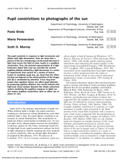 Pupil constrictions to photographs of the sun