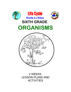 SIXTH GRADE ORGANISMS - Math/Science Nucleus