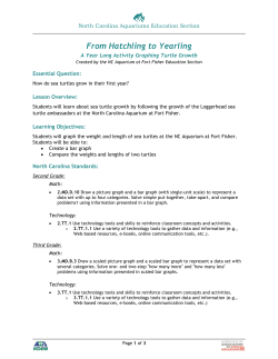 Hatchling to Yearling - Sea Turtle Exploration