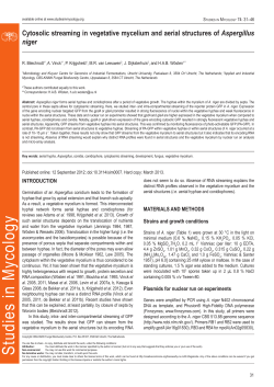 Cytosolic streaming in vegetative mycelium and aerial structures of