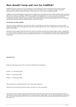 How should I keep and care for Goldfish?