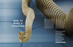 HOw tO make a taPewOrm