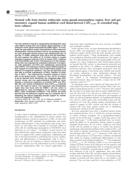 Stromal cells from murine embryonic aorta&ndash;gonad