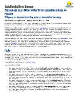 Chesapeake Bay`s underwater grass abundance rises 24 percent in