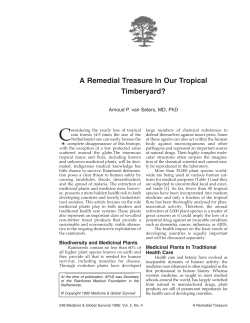 A Remedial Treasure In Our Tropical Timberyard?