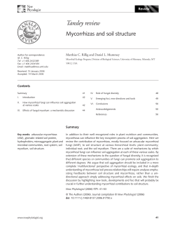 Mycorrhizas and soil structure