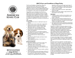 AKC`S Care and Conditions of Dogs Policy