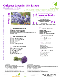 Christmas Lavender Gift Baskets