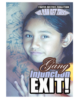 Petition For Removal From a Gang Injunction