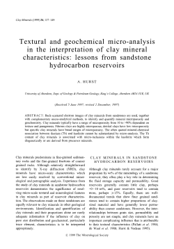 Textural and geochemical micro-analysis in the interpretation of clay