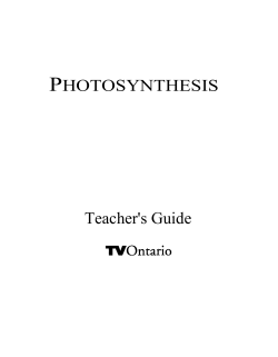 PHOTOSYNTHESIS Teacher`s Guide