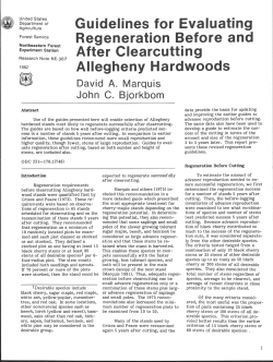 Guidelines for Evaluating Regeneration Before and After