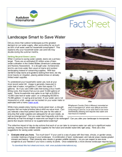 Landscape Smart to Save Water