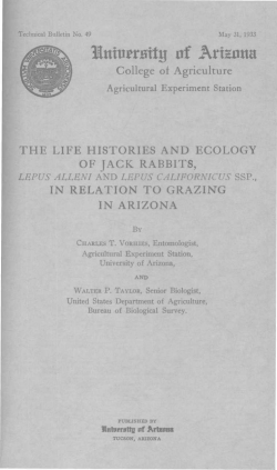 The Life Histories and Ecology of Jack Rabbits, Lepus Alleni and