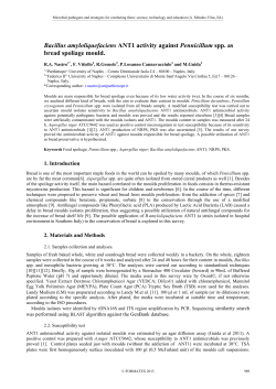 Bacillus amyloliquefaciens ANT1 activity against Pennicillum spp. as