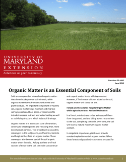 document - University of Maryland Extension