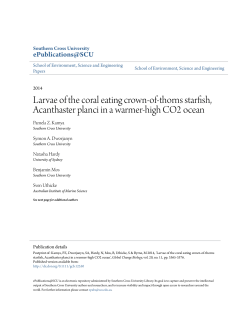 Larvae of the coral eating crown-of