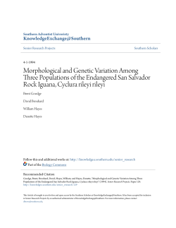 Morphological and Genetic Variation Among Three Populations of