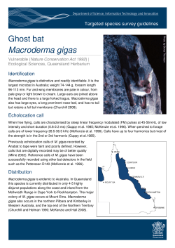 Targeted species survey guidelines