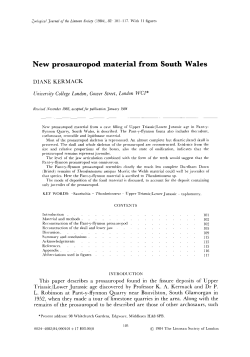 New prosauropod material from South Wales