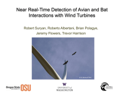 Presentation - National Wind Coordinating Collaborative