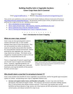 Building Healthy Soils in Vegetable Gardens: Cover Crops Have Got