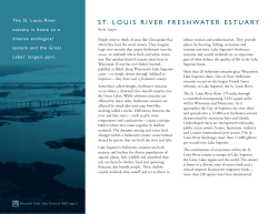 Article about the St. Louis River Freshwater Estuary