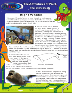 11. Right Whales - Bytes Power Smarts
