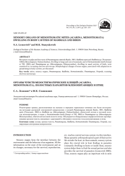 SENSORY ORGANS OF MESOSTIGMATIC MITES (ACARINA
