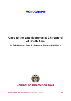 A key to the bats (Mammalia: Chiroptera) of South Asia