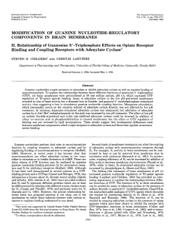 MODIFICATION OF GUANINE NUCLEOTIDE