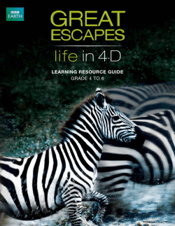 LEARNING RESOURCE GUIDE