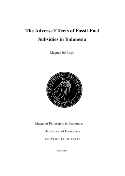 The Adverse Effects of Fossil-Fuel Subsidies in Indonesia - DUO