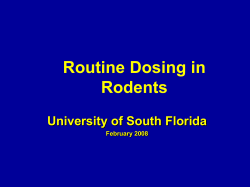 Routine Dosing in Rodents - University of South Florida