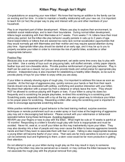 Kitten Play: Rough Isn`t Right - UC Davis School of Veterinary