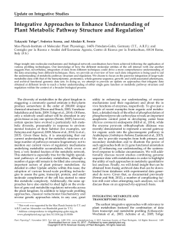 Integrative Approaches to Enhance