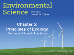 Chapter 5 - Mark Aronson